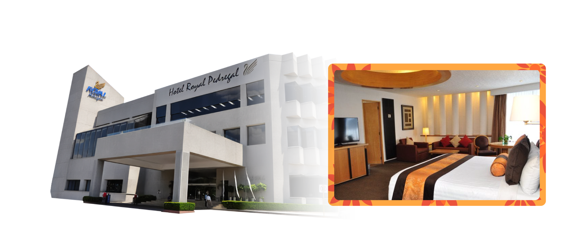 Habitación Hotel Royal Pedregal